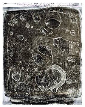 film Polaroid, chemical reaction 2 null