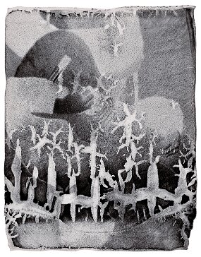 film Polaroid, chemical reaction 3 null