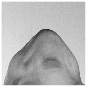 Victoria__0280-D600 null