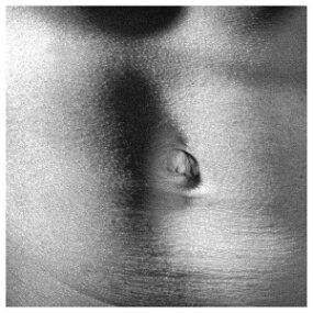 Victoria__0282-D600 null