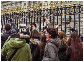 Buckingham palace 2014-406 null